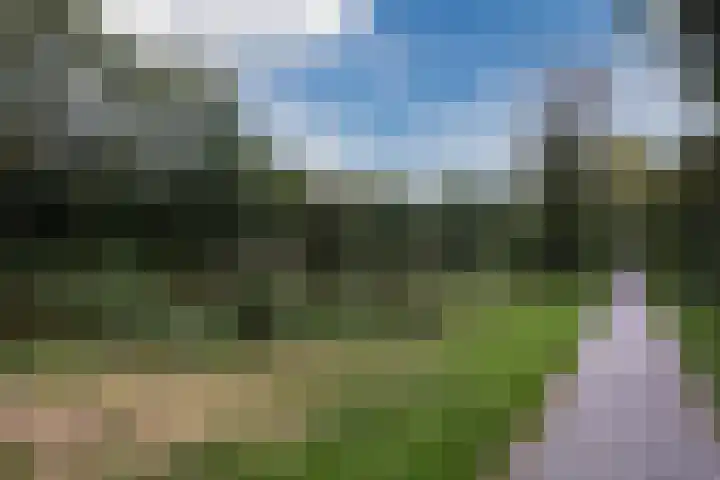 Grutto 73 Bodegraven thumbnail 34