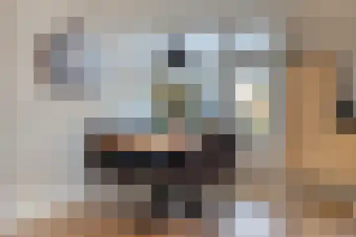 Grutto 73 Bodegraven thumbnail 38