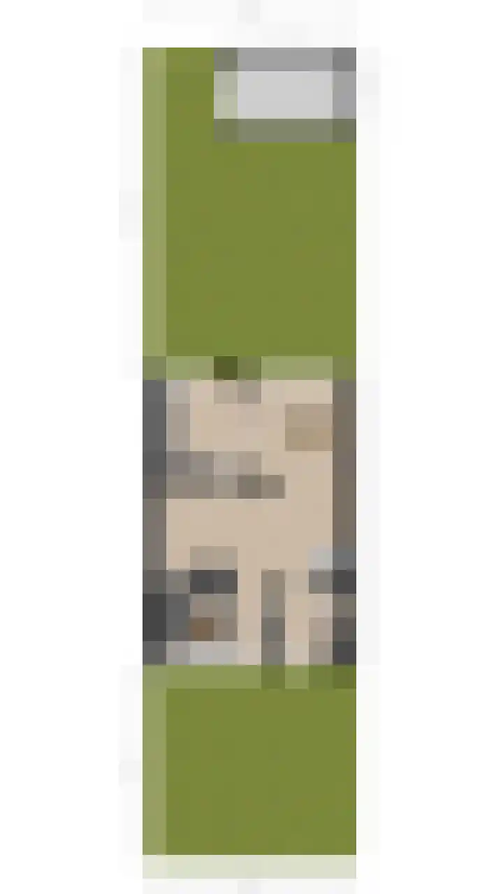 Grutto 73 Bodegraven thumbnail 38