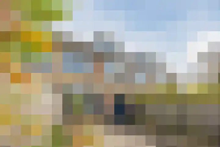 Grutto 73 Bodegraven thumbnail 4