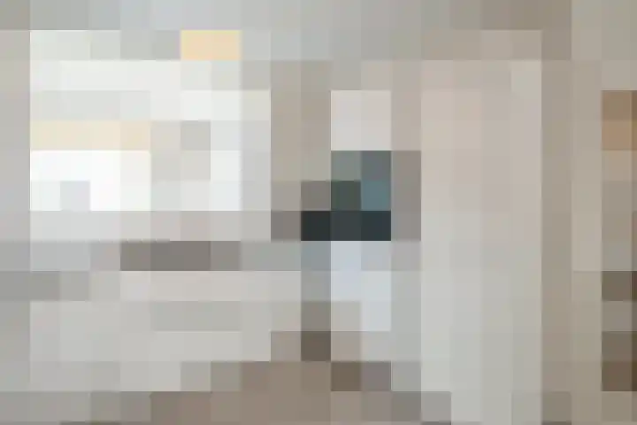 Grutto 98 Oss thumbnail 11
