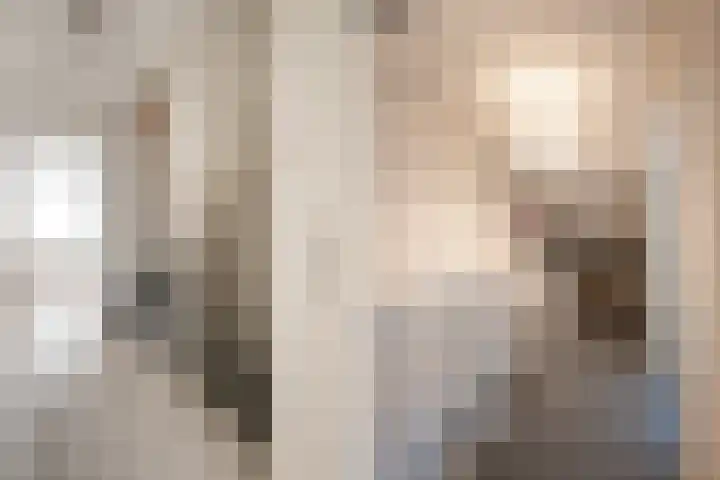 Grutto 98 Oss thumbnail 12