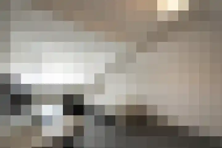 Grutto 98 Oss thumbnail 16