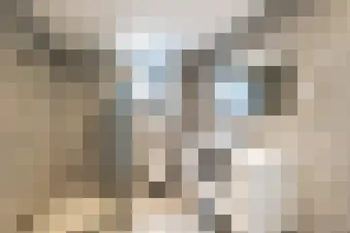 Grutto 98 Oss thumbnail 17