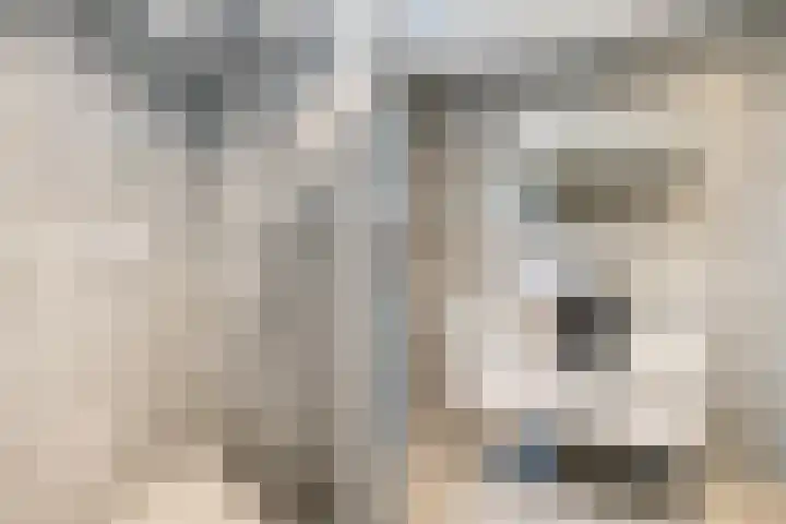 Grutto 98 Oss thumbnail 18