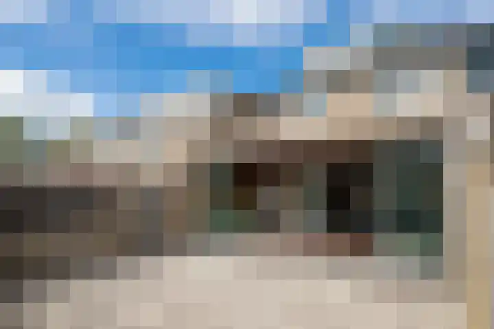 Grutto 98 Oss thumbnail 19