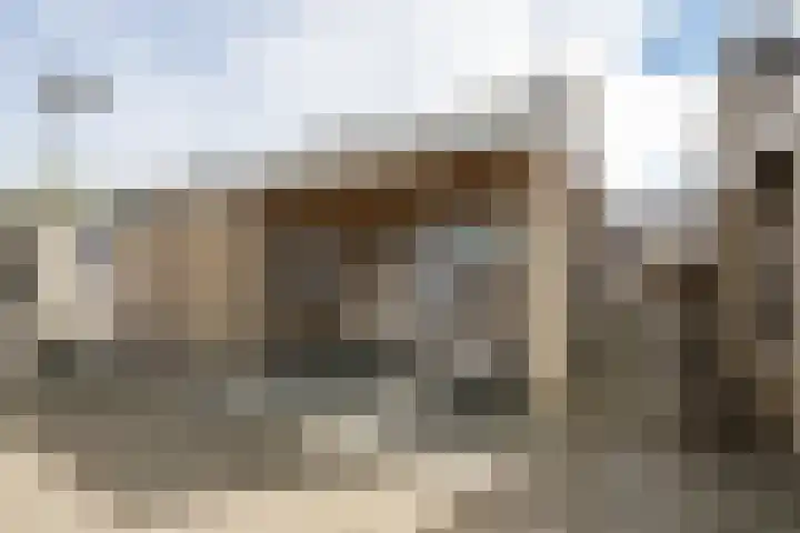 Grutto 98 Oss thumbnail 23