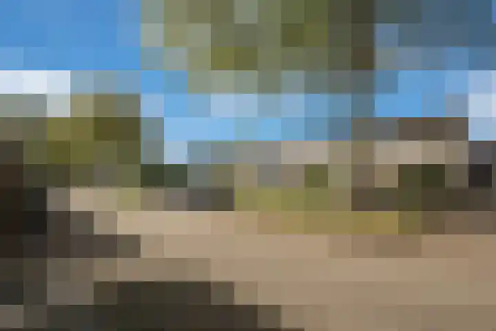 Grutto 98 Oss thumbnail 25