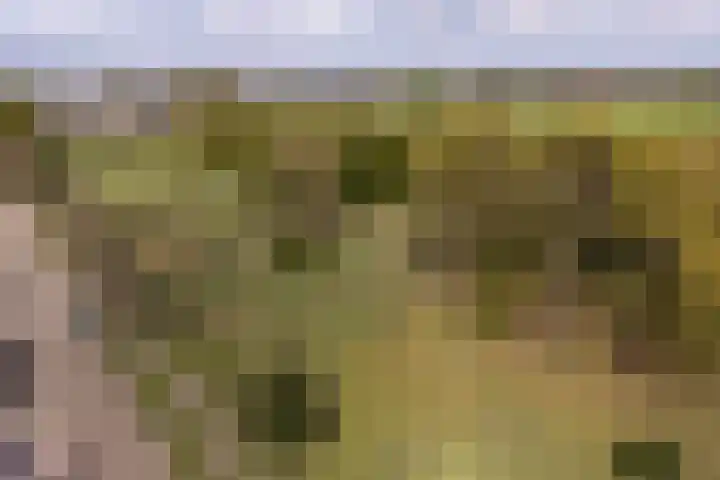 Grutto 98 Oss thumbnail 27