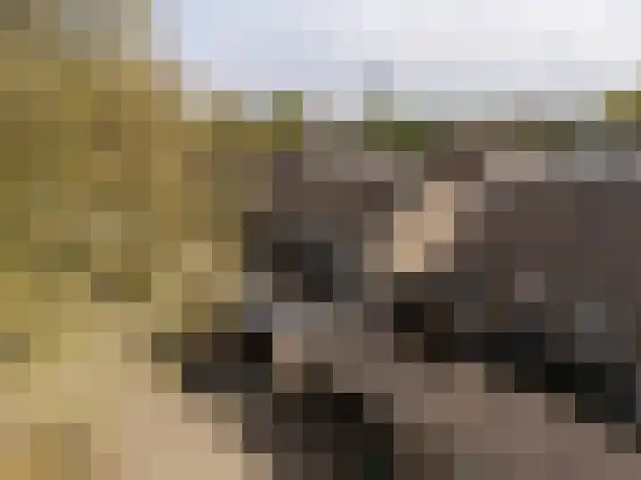 Grutto 98 Oss thumbnail 31