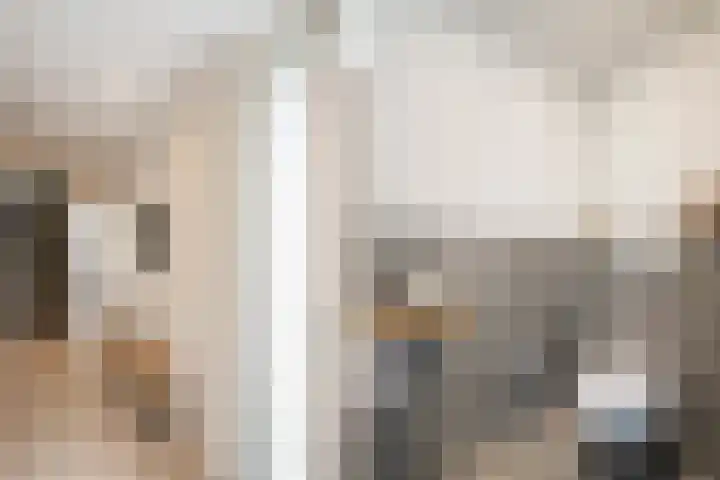 Grutto 98 Oss thumbnail 6