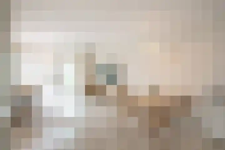 Grutto 98 Oss thumbnail 7