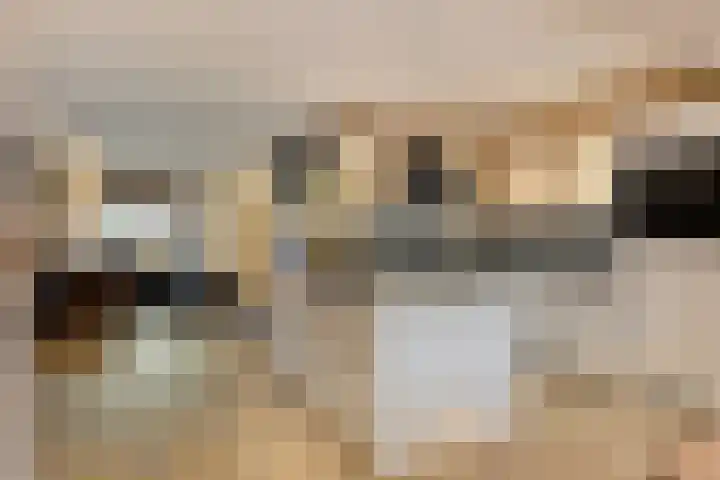 Gruttohorst 6 Grave thumbnail 13