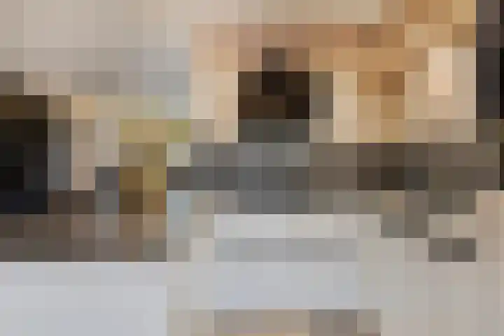 Gruttohorst 6 Grave thumbnail 14