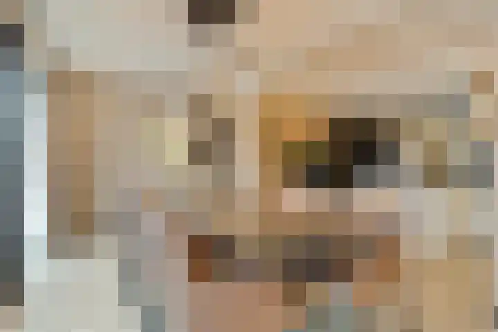 Gruttohorst 6 Grave thumbnail 16