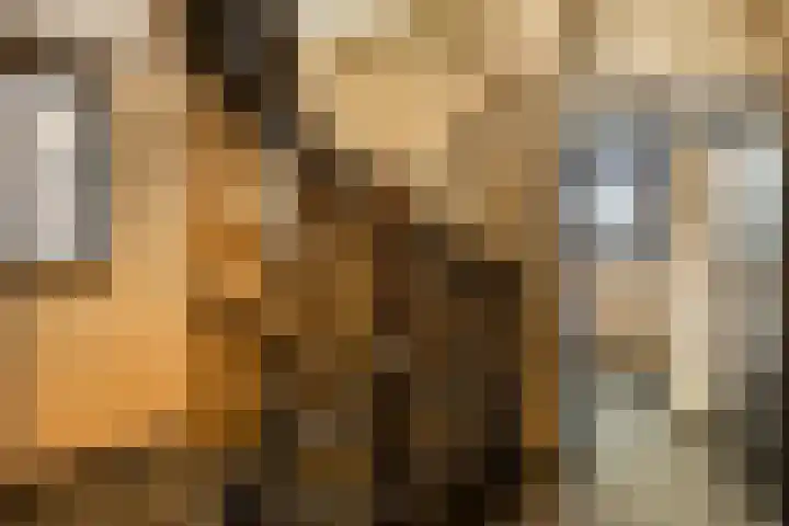 Gruttohorst 6 Grave thumbnail 19