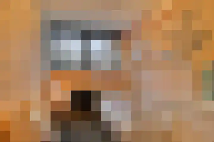 Gruttohorst 6 Grave thumbnail 20