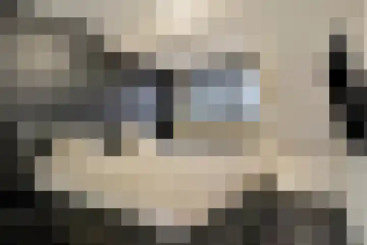 Gruttohorst 6 Grave thumbnail 26