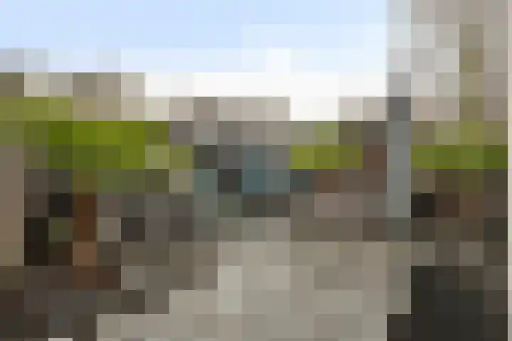 Gruttohorst 6 Grave thumbnail 33