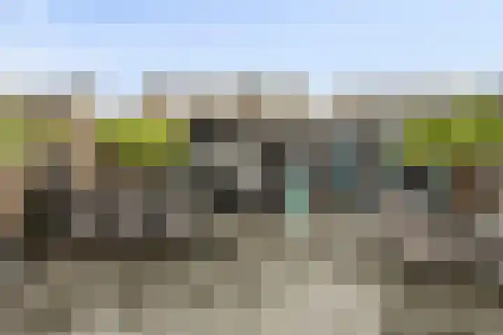 Gruttohorst 6 Grave thumbnail 34