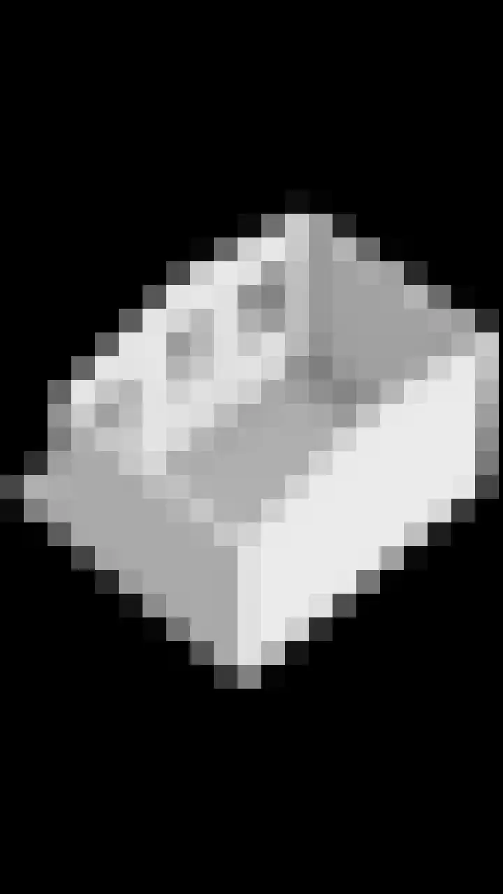 Gruttohorst 6 Grave thumbnail 44