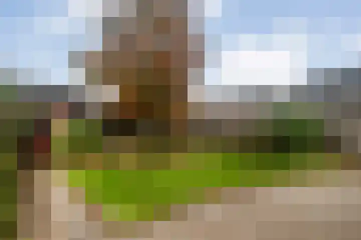 Gruttostraat 1 Ommen thumbnail 31