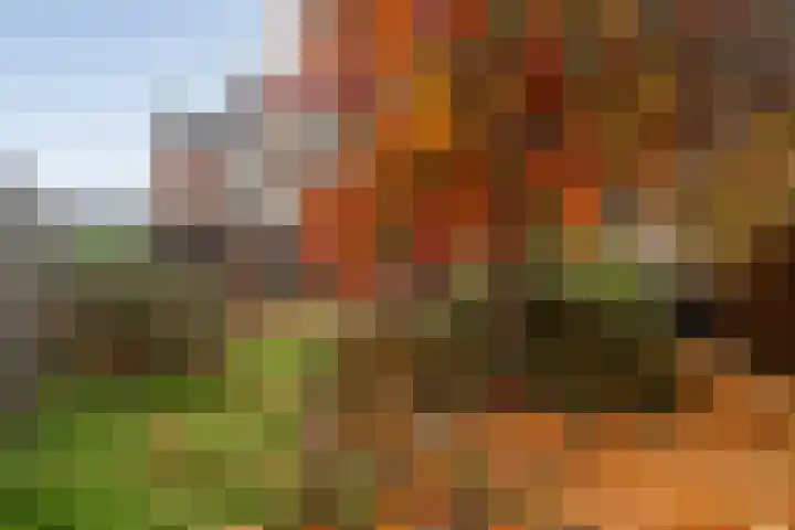 Gruttostraat 1 Ommen thumbnail 33