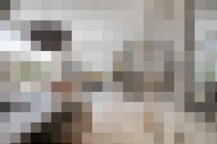 Gruttostraat 10 Driel thumbnail 24