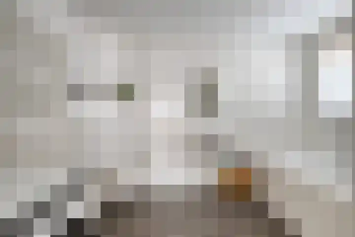 Gruttostraat 10 Driel thumbnail 30