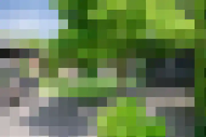 Gruttostraat 10 Driel thumbnail 47