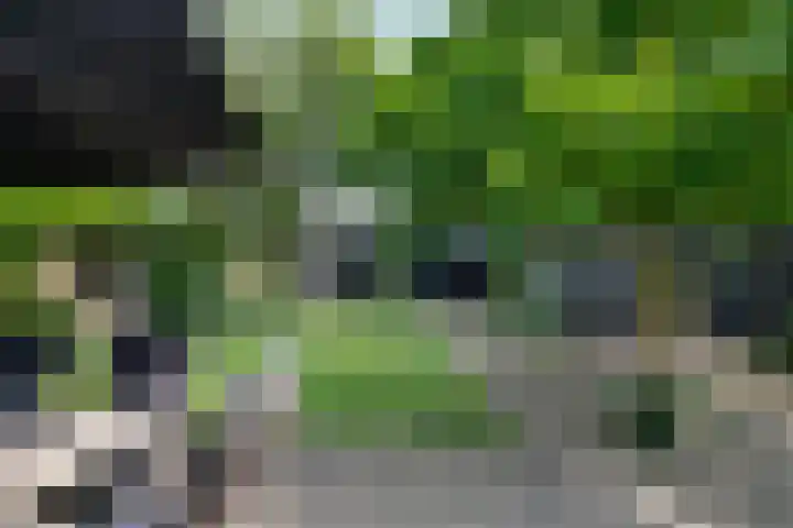 Gruttostraat 10 Driel thumbnail 48