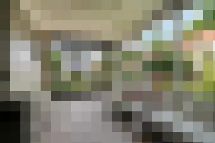 Gruttostraat 10 Driel thumbnail 5