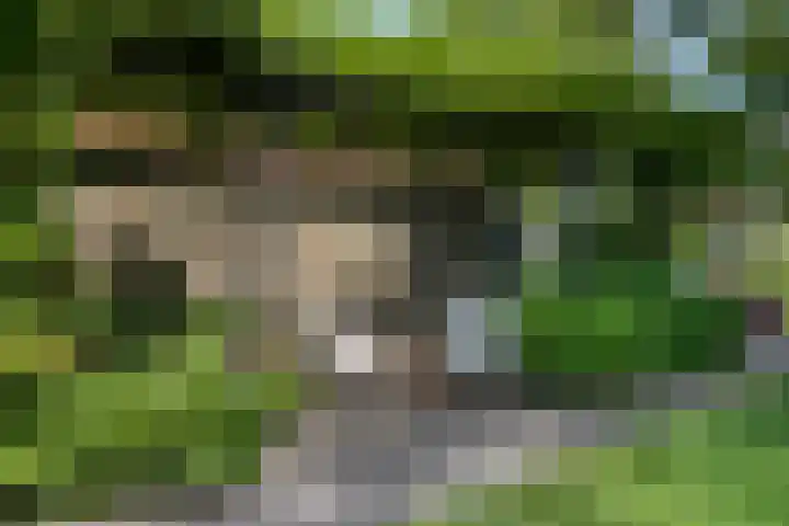 Gruttostraat 10 Driel thumbnail 50