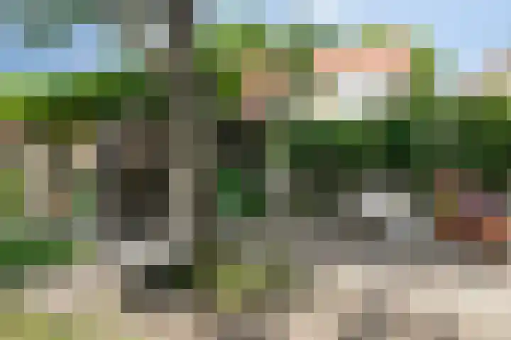 Gruttostraat 10 Driel thumbnail 51