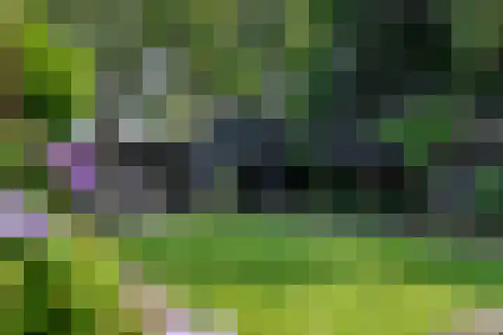 Gruttostraat 10 Driel thumbnail 52