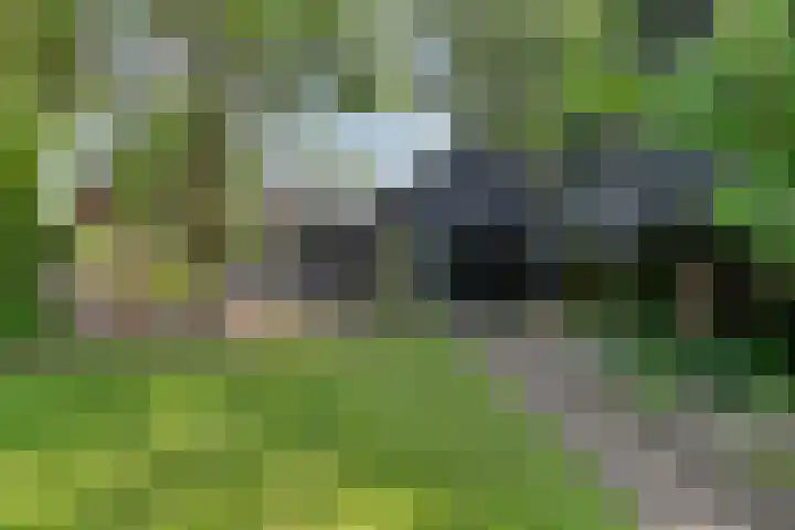 Gruttostraat 10 Driel thumbnail 53