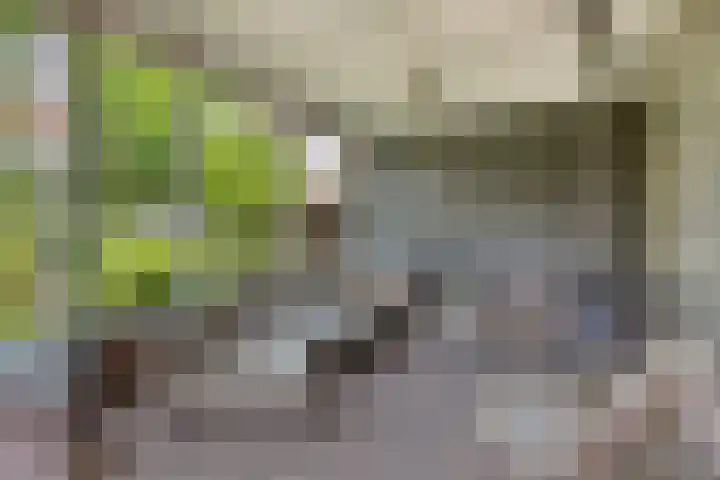 Gruttostraat 10 Driel thumbnail 54