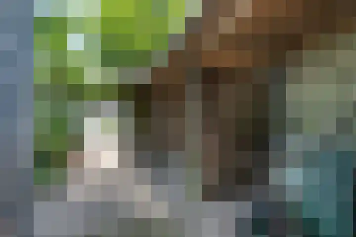 Gruttostraat 10 Driel thumbnail 55