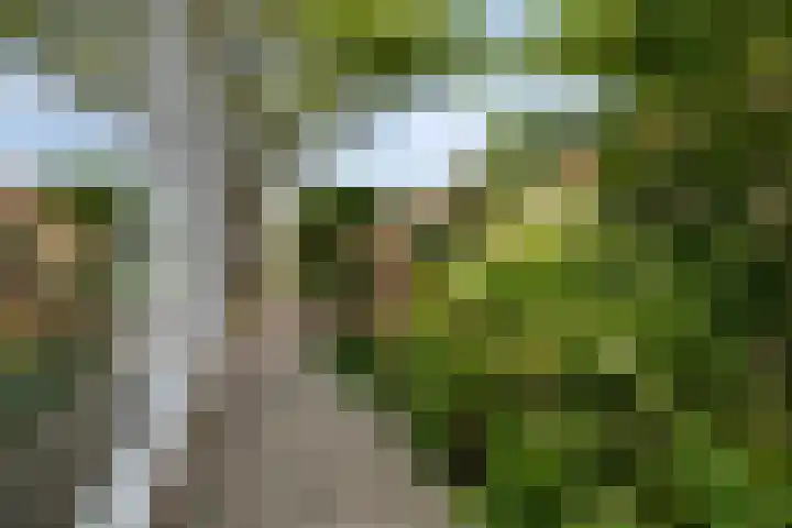 Gruttostraat 10 Driel thumbnail 56