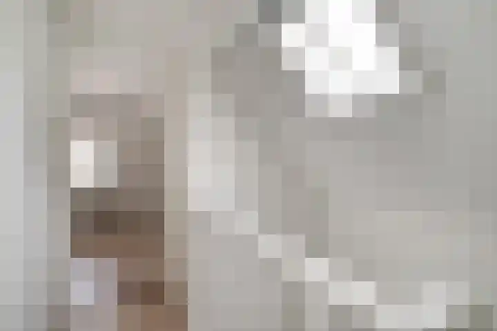 Gruttostraat 17 BS in Utrecht