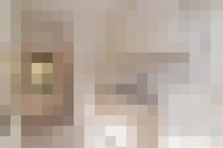 Gruttostraat 21 Monster thumbnail 7