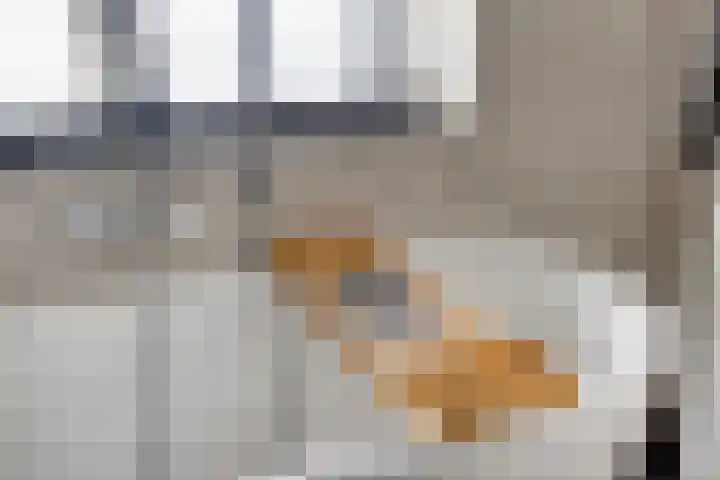 Gruttostraat 26 Epe thumbnail 19