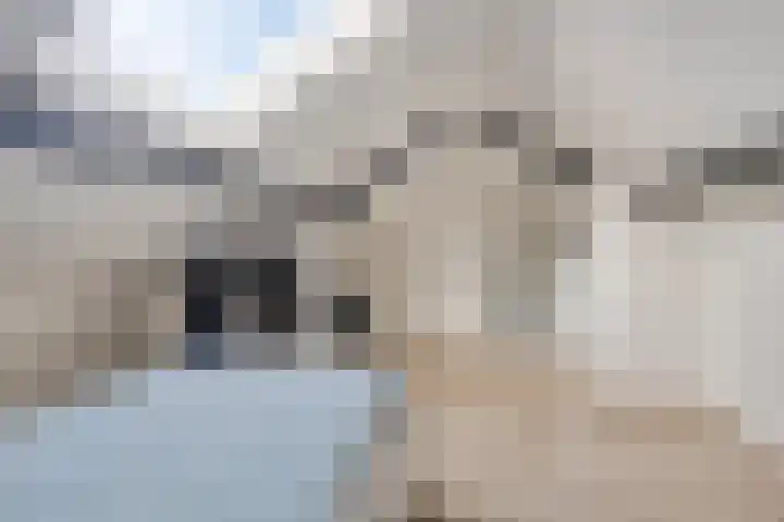 Gruttostraat 26 Epe thumbnail 24