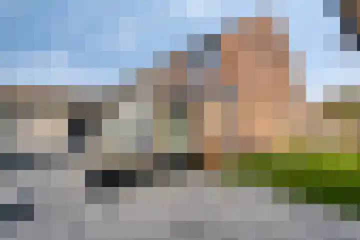 Gruttostraat 26 Epe thumbnail 26