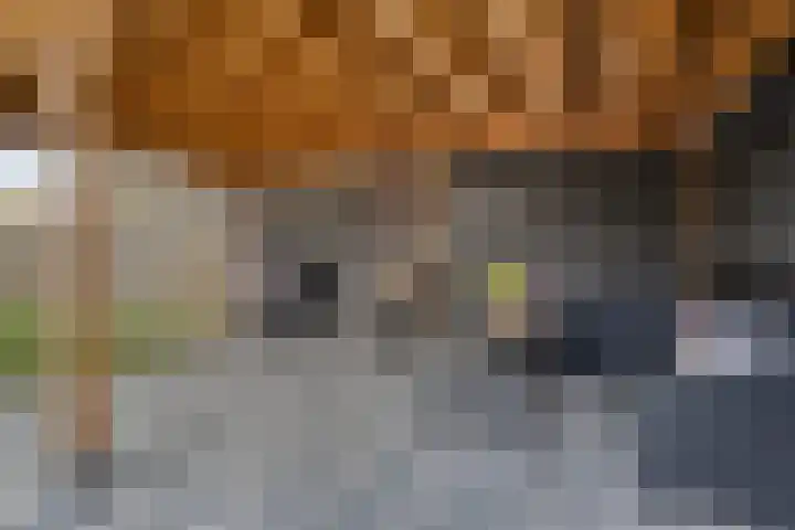 Gruttostraat 26 Epe thumbnail 27