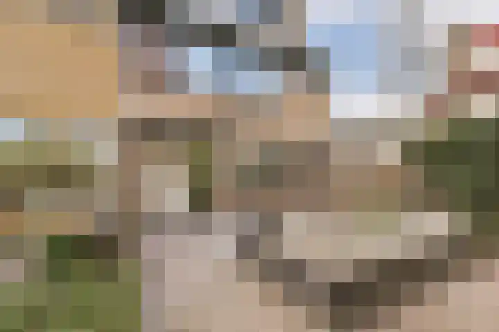 Gruttostraat 39 Bleiswijk thumbnail 4