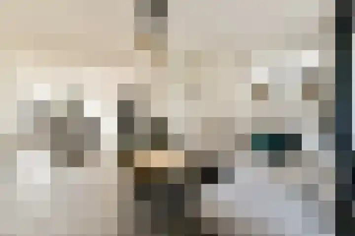 Gruttostraat 39 Bleiswijk thumbnail 6