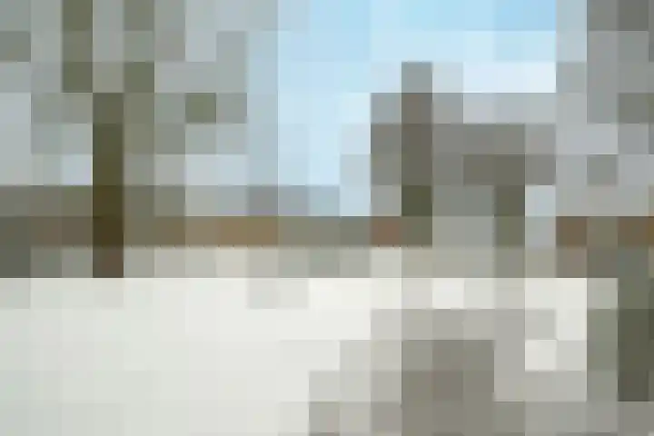 Gruttoweide 159 Wageningen thumbnail 32