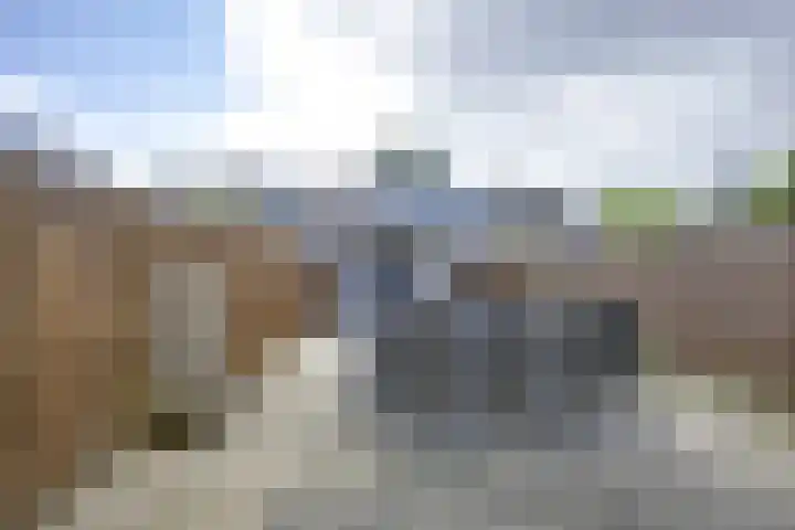 Gruttoweide 8 Houten thumbnail 10