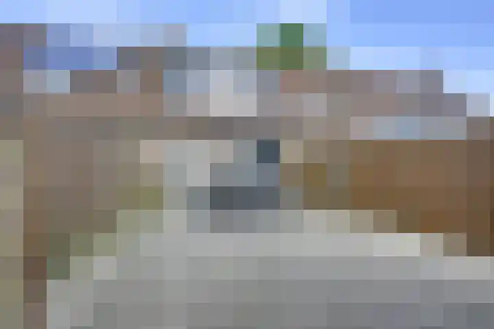 Gruttoweide 8 Houten thumbnail 12